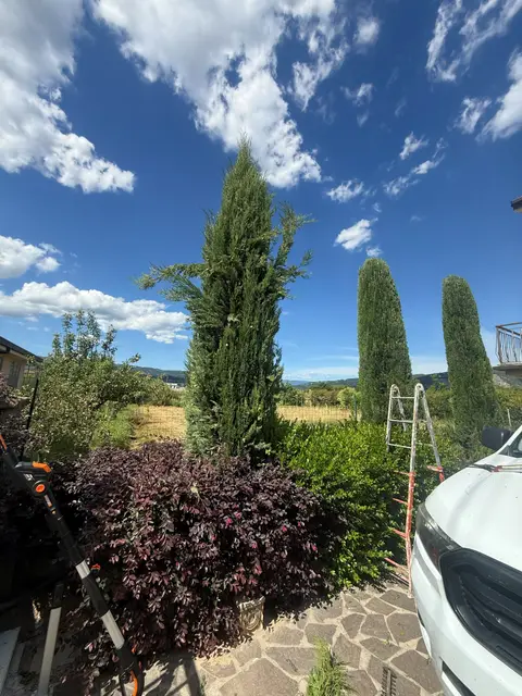 Giardino con cipressi e siepi potati e in ordine