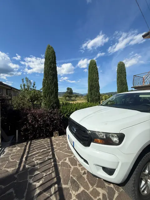 Giardino con cipressi potati e siepi regolate